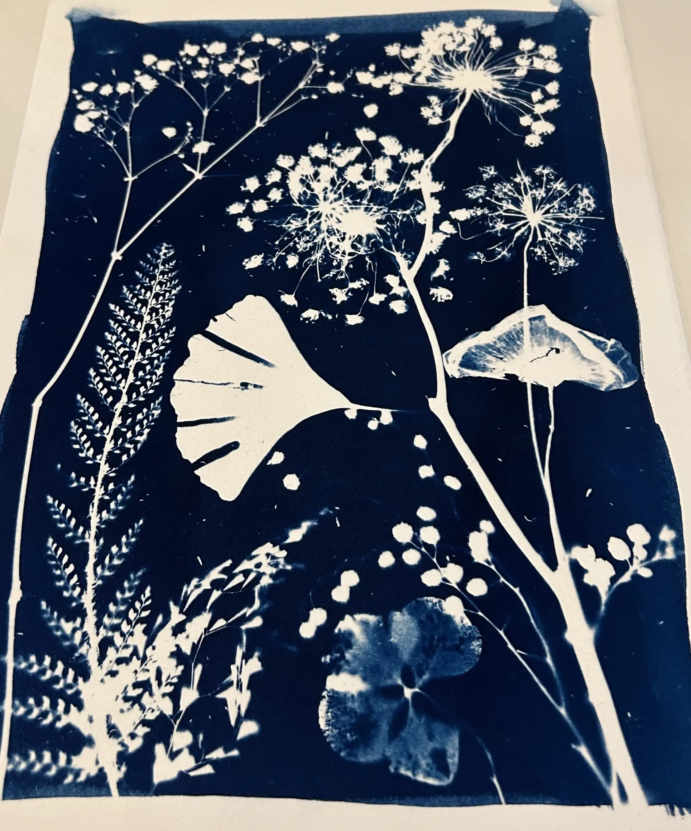 cyanotype a4tje met botanisch tafereel