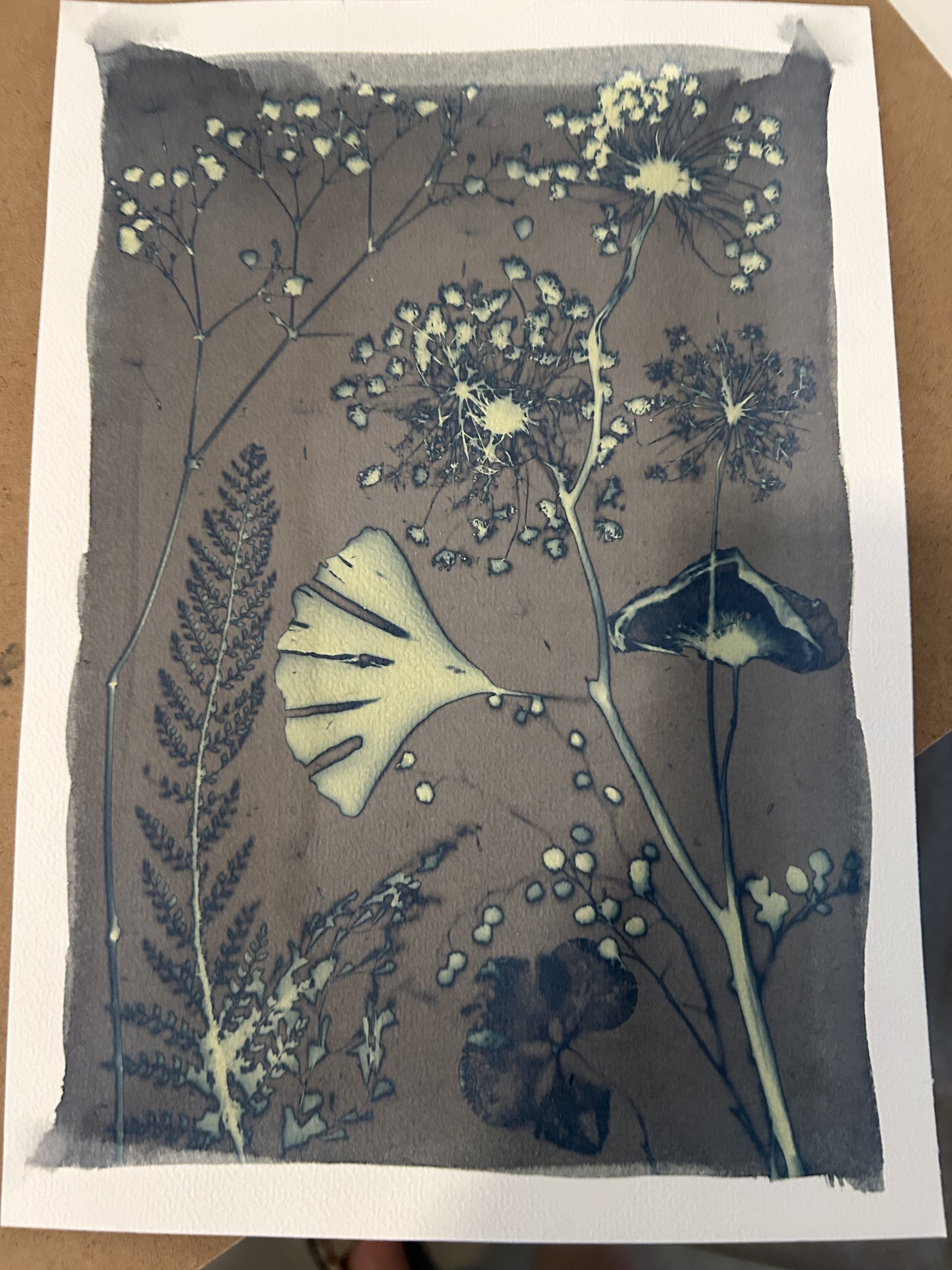 cyanotype op kaartjes met botanisch tafereel