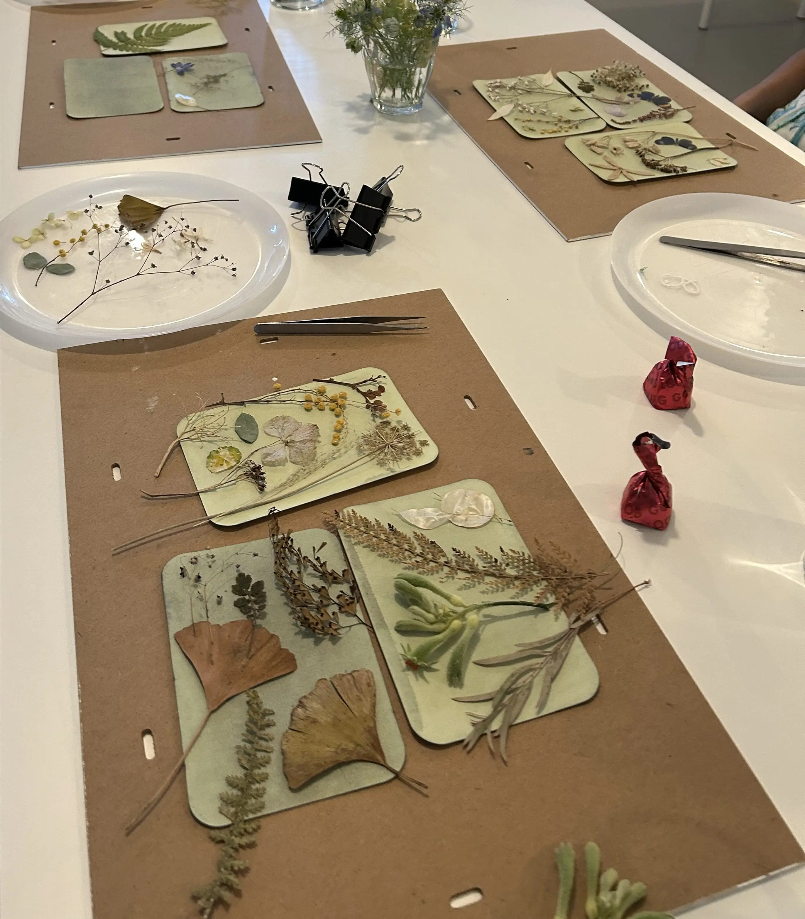 cyanotype op kaartjes met botanisch tafereel